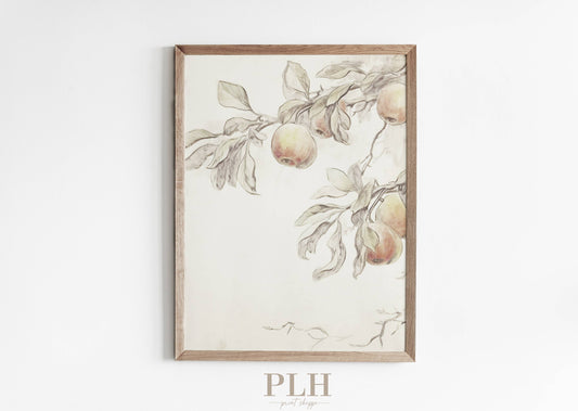 Premium Peach Art Print