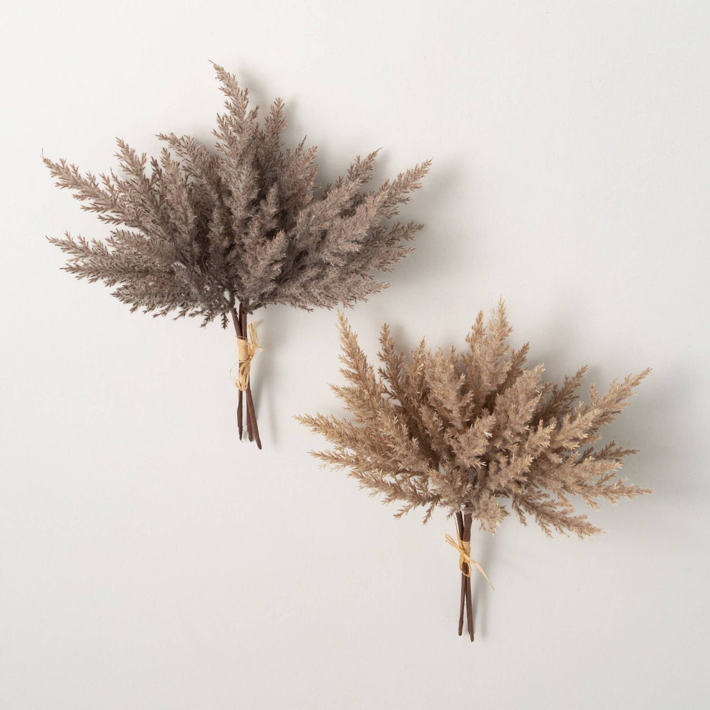 Pampas Grass Bush Bundles