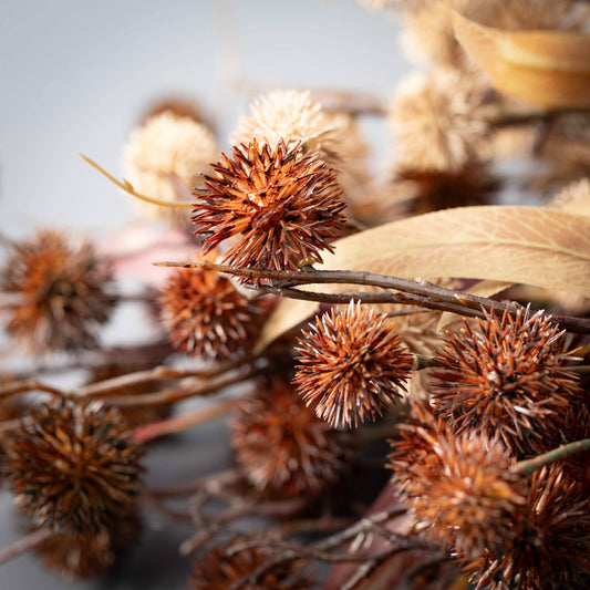 Fall Thistle Leaf Bush Trio